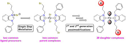 bis(functionalized)Pd